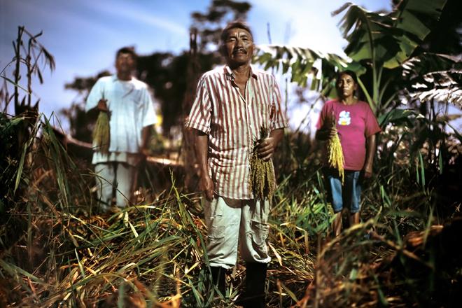 Oxfam en Bolivia está trabajando con socios locales para reintroducir el "camellones", un sistema agrícola desarrollado por la antigua civiliación inca en el año 4000 a.C. para ayudar a las comunidades a hacer frente al cambio climático.