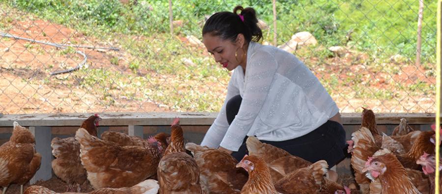 Zayra Álvarez es una de las mujeres que apoyó la creación de la planta de producción y comercialización de huevos de gallina de raza mejorada, única en su municipio. Mujeres rurales de Nicaragua inauguran planta avícola y de procesamiento de cerdos