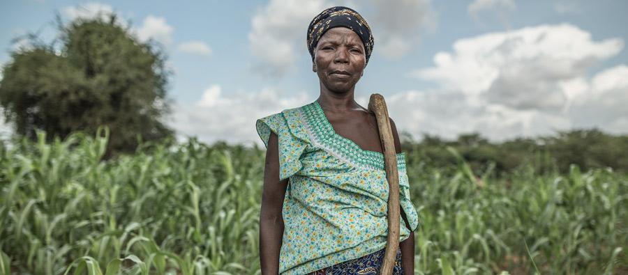 Noaga Ouèda, a 52-year-old farmer, lives with her 8 children and another 17 relatives in the community of Kario, Burkina Faso. Noaga Ouèda, a 52-year-old farmer, lives with her 8 children and another 17 relatives in the community of Kario, Burkina Faso.