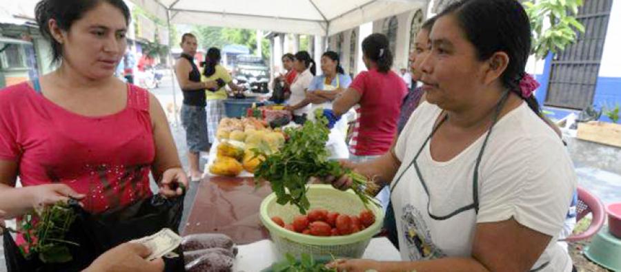 Deysi Román at her stall in the municipal market. Photo: Wilton Castillo/Oxfam Deysi Román at her stall in the municipal market. Photo: Wilton Castillo/Oxfam