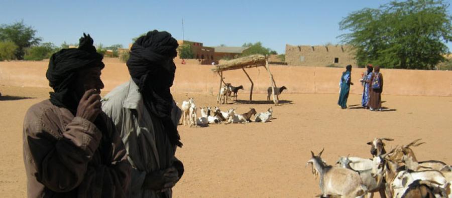 Nous aidons notamment les éleveurs de Gao à préserver leur principale ressource : leur bétail Eleveurs de la région de Gao, Mali. Photo : Oxfam