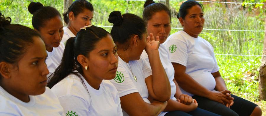 Un grupo de mujeres emprendedoras recibe una formación. Hoy han mejorado sus capacidades empresariales y generan más ingresos para sus familias de manera sostenible. Un grupo de mujeres emprendedoras recibe una formación. Hoy han mejorado sus capacidades empresariales y generan más ingresos para sus familias de manera sostenible.