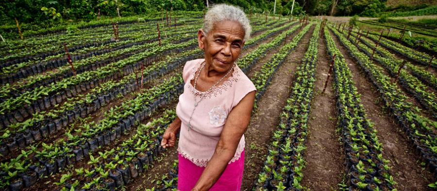 Impulsar la igualdad de género en la tenencia de tierras empoderaría a las mujeres y les proporcionaría una mayor influencia en la toma de decisiones relativas al uso de la tierra. En la imagen: Luz Evelia Godines Solano, productora de café de Nicaragua. Impulsar la igualdad de género en la tenencia de tierras empoderaría a las mujeres y les proporcionaría una mayor influencia en la toma de decisiones relativas al uso de la tierra. En la imagen: Luz Evelia Godines Solano, productora de café de Nicaragua.
