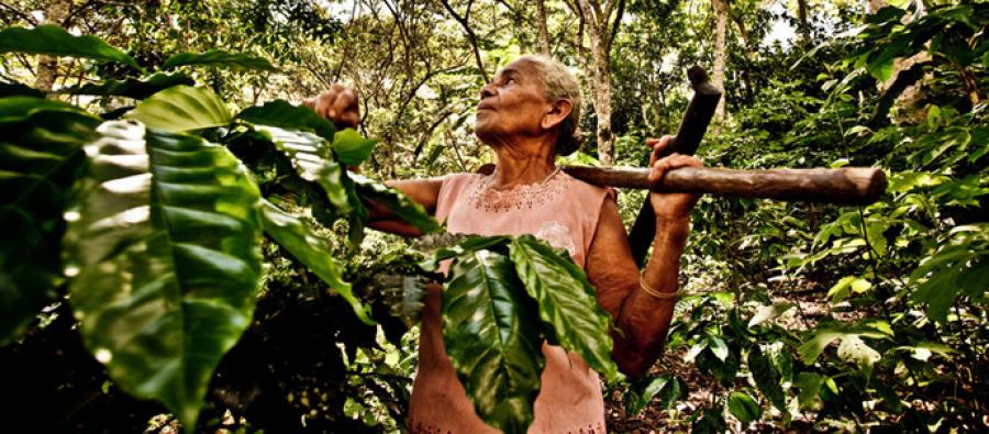 Luz Evelia Godines Solano, coffee farmer, in Nicaragua. Credit: Pablo Tosco/Oxfam