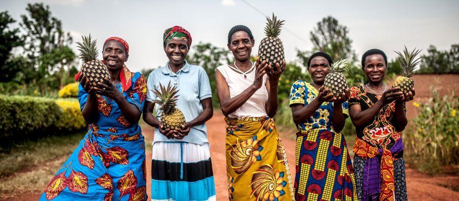 Les femmes membres de la coopérative Tuzamurane ont vu une nette amélioration de leurs revenus et peuvent désormais envoyer leurs enfants à l’école, payer les frais médicaux et acheter des terres. Les femmes membres de la coopérative Tuzamurane ont vu une nette amélioration de leurs revenus et peuvent désormais envoyer leurs enfants à l’école, payer les frais médicaux et acheter des terres.