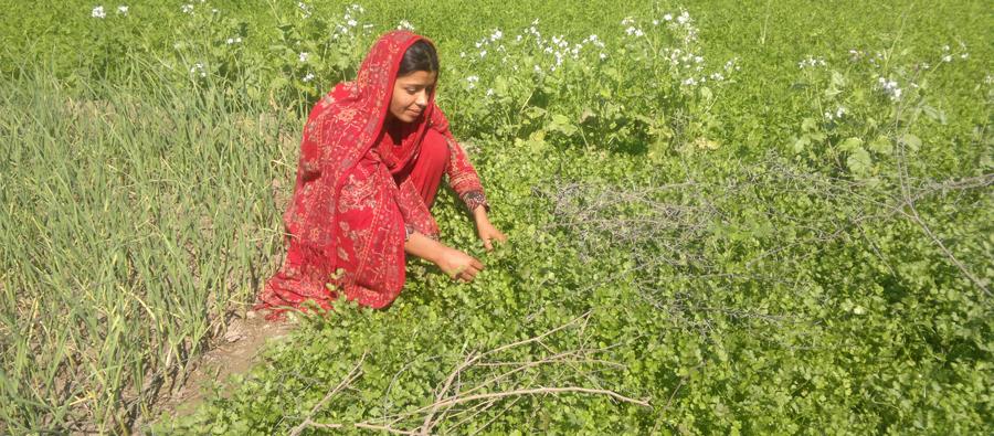 Hakim Mai in her garden. Pakistan. Photo: Oxfam