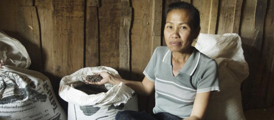 680 families of rice farmers have participated in a biodiversity management and conservation project Rizicultrice, Laos. Photo : Oxfam