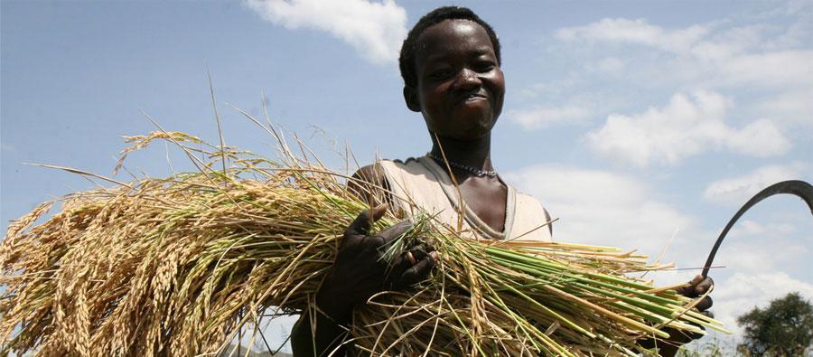 Uganda annual report