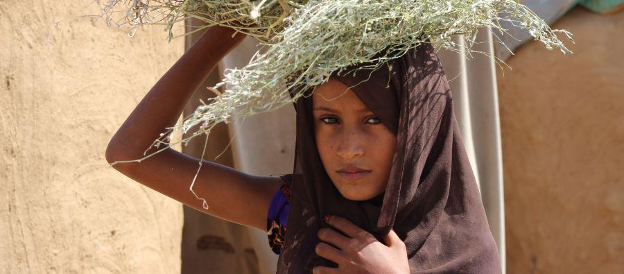 Aisha *, de 9 años, recoge leña todos los días para que su familia pueda cocinar. Cuando regresa a casa sin leña, la familia tiene que cocinar quemando botellas de plástico, "El olor a plástico hace que la comida sepa muy mal y no puedo comer", dice. Aisha *, de 9 años, recoge leña todos los días para que su familia pueda cocinar. Cuando regresa a casa sin leña, la familia tiene que cocinar quemando botellas de plástico, "El olor a plástico hace que la comida sepa muy mal y no puedo comer", dice.