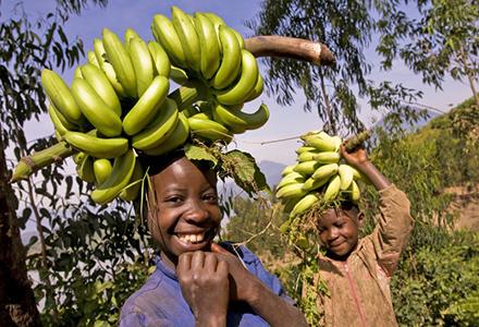 ruanda