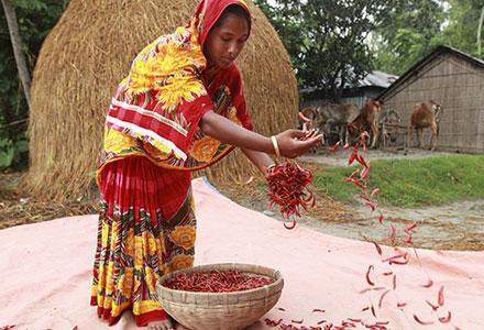 bangladeshcp