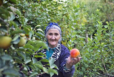 armeniacp