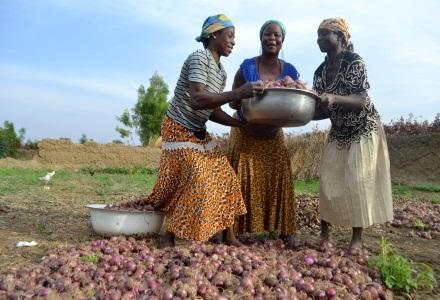 Anamshakia and friends showing harvest of their dry season gardening in Biambong ,Ghana Anamshakia and friends showing harvest of their dry season gardening in Biambong, Ghana