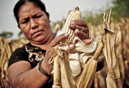 guatemalacp