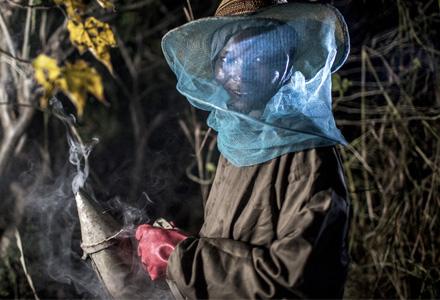 Women Oxfam have trained in bee keeping as part of alternative livelihood. Ghana Women Oxfam have trained in bee keeping as part of alternative livelihood. Ghana